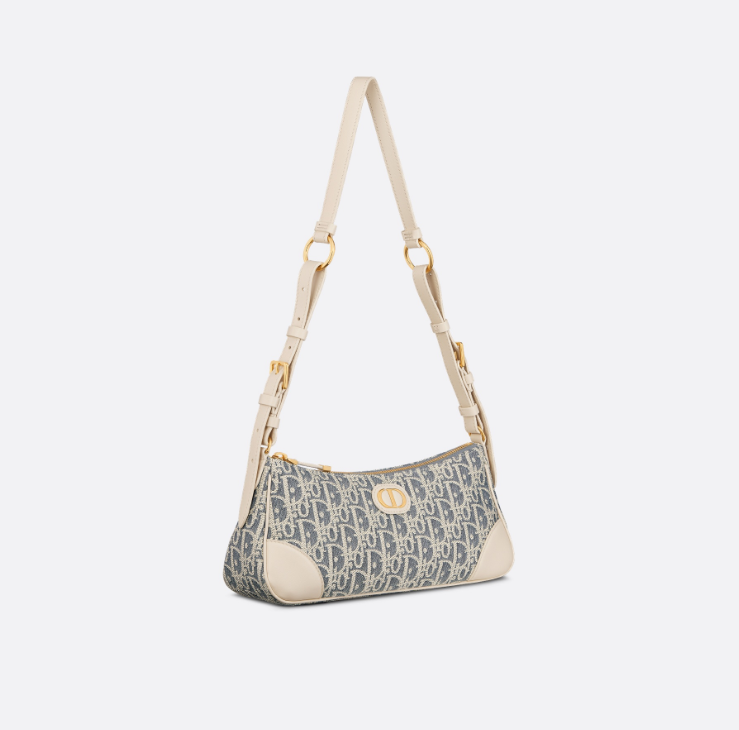 Dior  30 Montaigne Wanderlust Bag