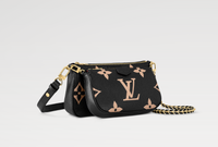 LV Multi Pochette Accessoires