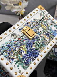 Lady Dior Limited Edition