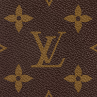 LV Side Trunk MM