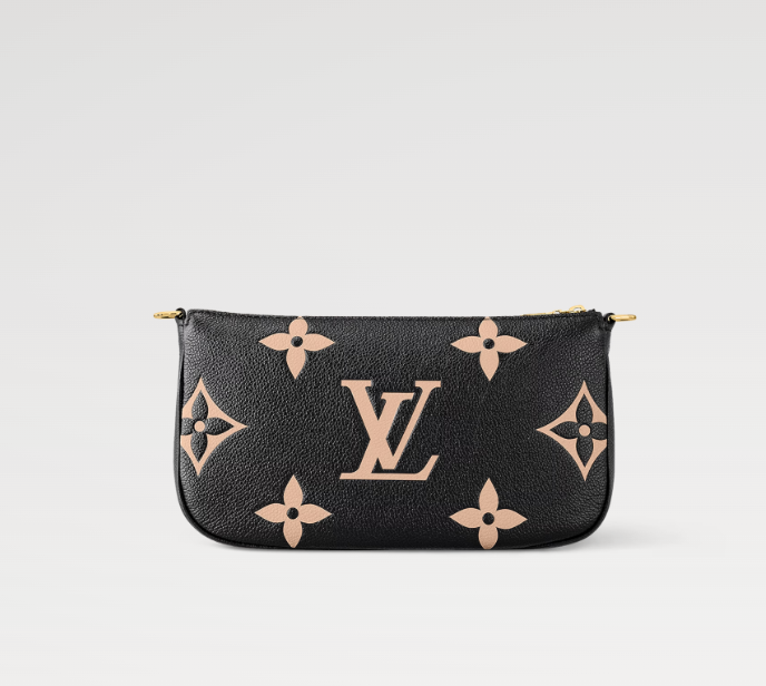 LV Multi Pochette Accessoires