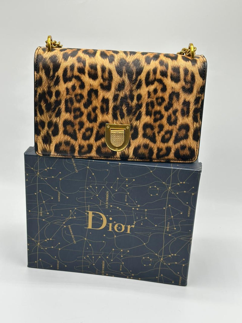 Christian Dior Leather Chain Shoulder Bag