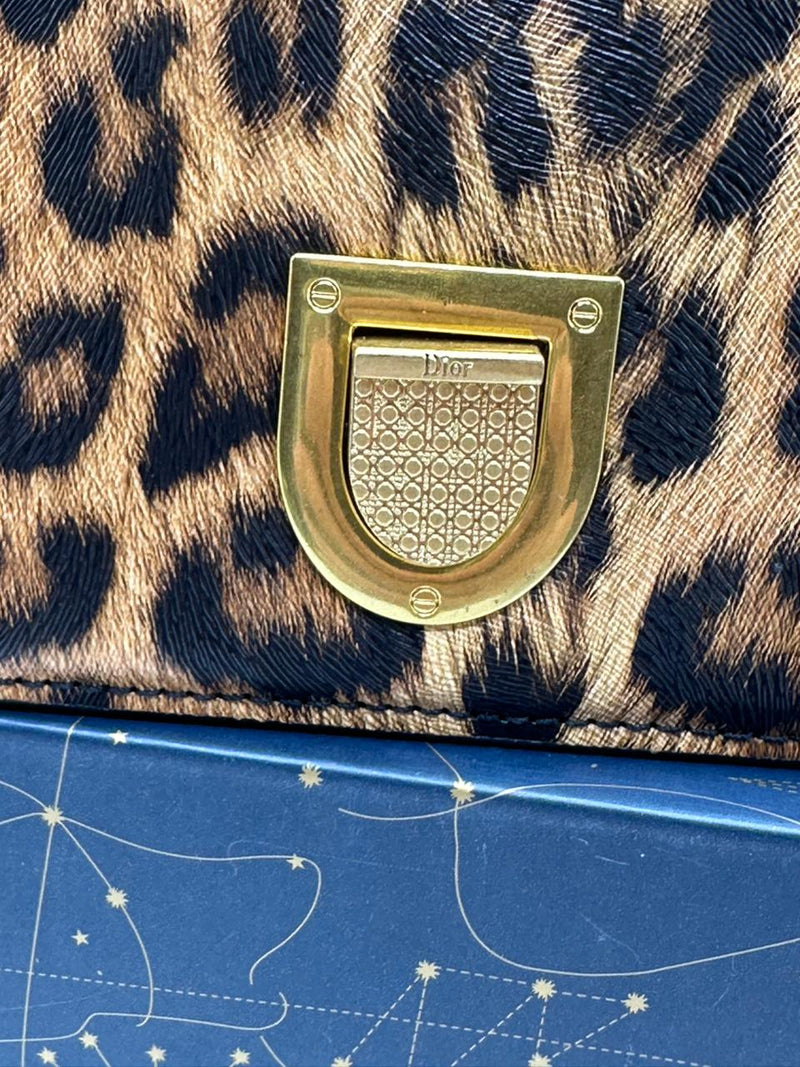 Christian Dior Leather Chain Shoulder Bag