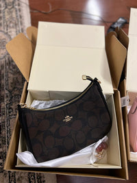 Coach Teri Hobo Bag In Signature Canvas