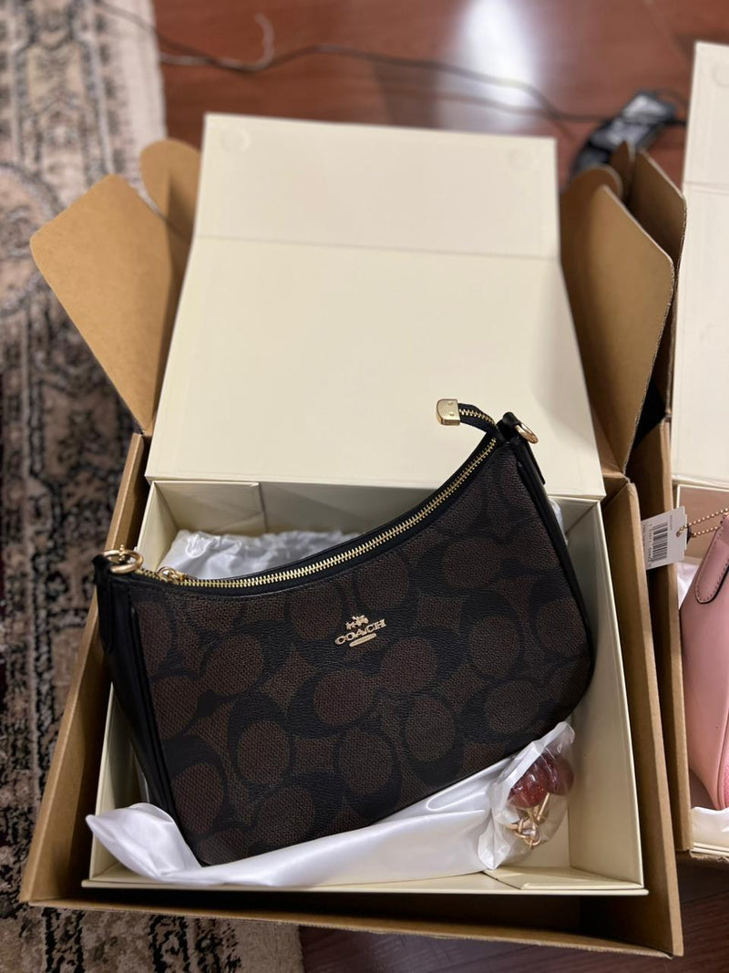 Coach Teri Hobo Bag In Signature Canvas