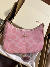 Coach Teri Hobo Bag In Signature Canvas