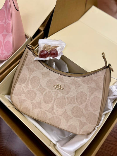 Coach Teri Hobo Bag In Signature Canvas hover