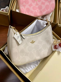 Coach Teri Hobo Bag In Signature Canvas