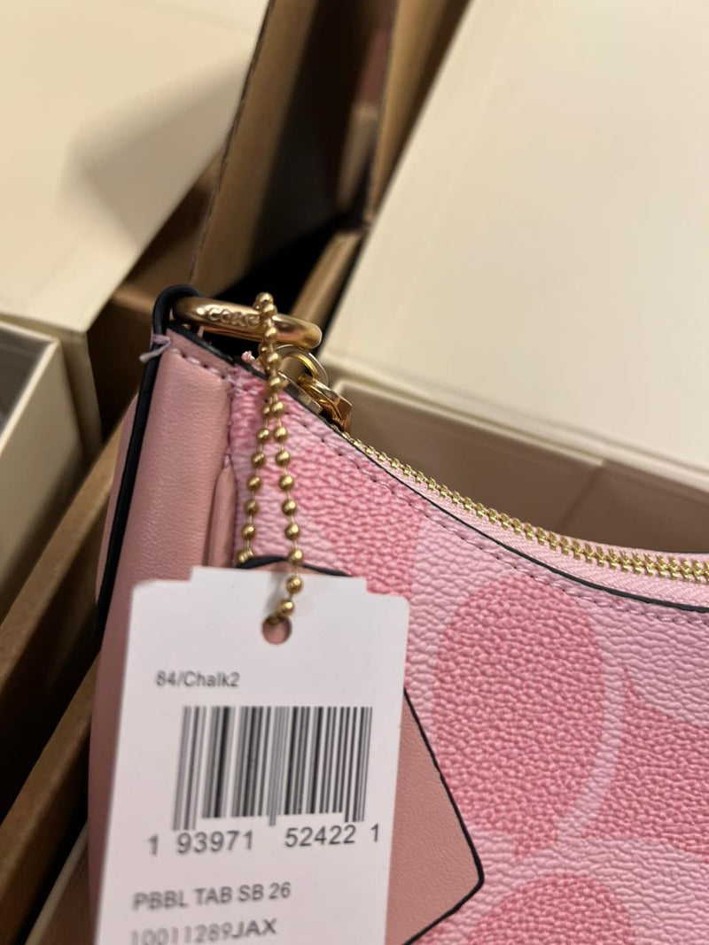 Coach Teri Hobo Bag In Signature Canvas