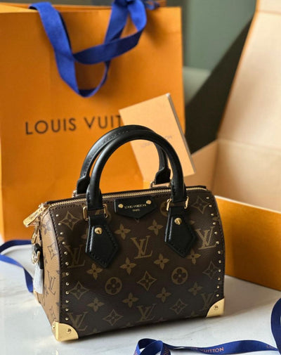 Louis Vuitton Speedy Trunk 20 Monogram hover