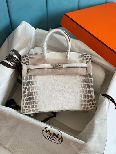 Hermès Birkin Himalaya Handbag hover